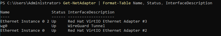 PowerShell Get-NetAdapter output listing WireGuard Tunnel adapter alongside the main Ethernet adapter, both showing Up status